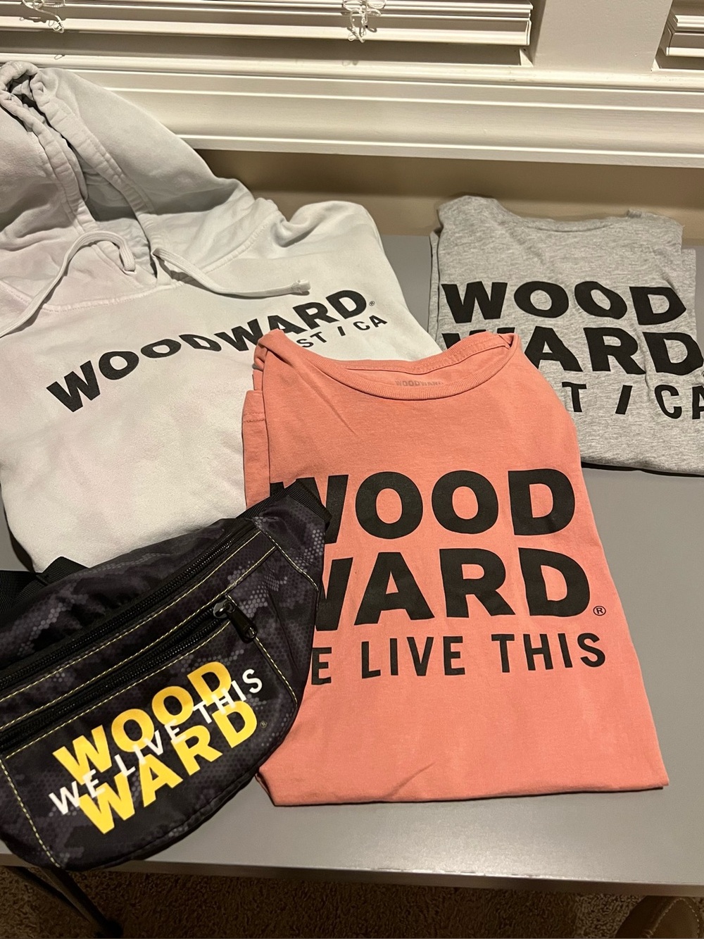 Woodward Cheerleading camp bundle - shirt, hoodie and bag